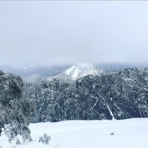 View from Mt Buller Victoria Australia 