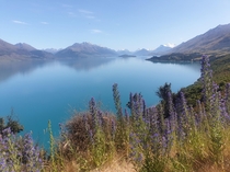 View from Queenstown-Glenorchy road New Zealand 