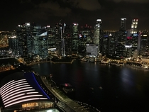 View from the Marina Bay Sands Hotel in Singapore