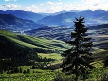 View from the Salish Mountain Range Montana These hills are green each spring for about three weeks but its a glorious three weeks That river in the distance is one of the outlets of Glacial Lake Missoula which emptied numerous times to form the Columbia 