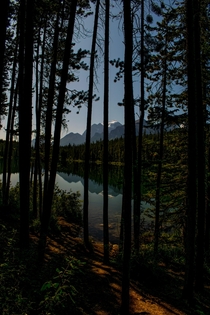 View from the woods around Herbert Lake Banff 