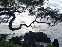 View from Wailea Beach Path Maui HI 