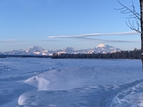 View of Mt McKinley Denali from Talkeetna Alaska yesterday 