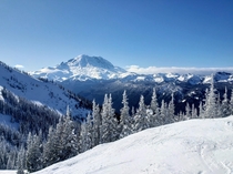 View of Mt Rainier from Crystal Mountain Washington  x
