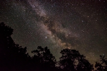 View of the Milky Way from camp in Northern Michigan 