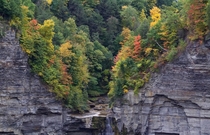 view of the top of New Yorks Taughannock Falls Oct  