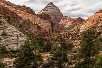 View off Zion-Mount Carmel Highway in Zion National Park 