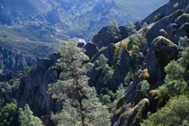 View on the way to the High Peaks at Pinnacles NP CA 