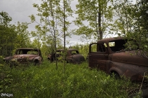 Vintage Car Graveyard Found Behind an Abandoned house in Rural Ontario 