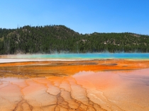 Volcanic Colors at Yellowstone NP  x