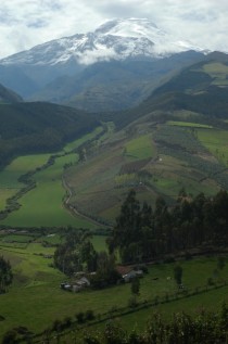 Volcanic Corn Fields - Cayambe Ecuador 