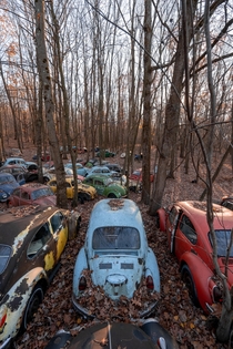 Volkswagen Graveyard