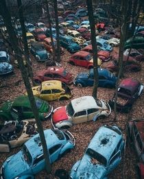 Volkswagen graveyard by cstone