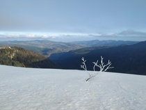 Vosges in France 