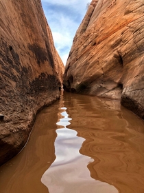 Wading through a slot canyon Dont worry I was only a few feet from the exit Escalante UT  Andrew_Calder