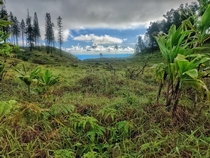 Waihee Ridge Trail hike in MauiMajor Jurassic Park vibes 