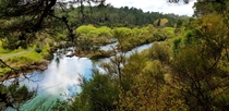 Waikato River NZ 