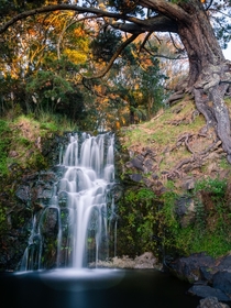 Waitangi Falls New Zealand 