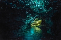 Waitomo Glowworm Caves New Zealand 