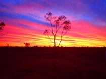 Waking up to a burning Sky in the Australian Outback km south of Cunnamulla 