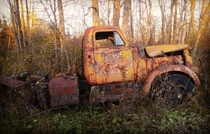 Walking around an old junk yard in Stitsville ON my GF snapped this picture 