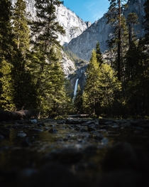 Walking straight down the creek Yosemite CA 