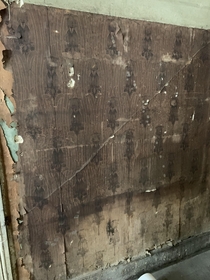 Wallpaper in an abandoned Victorian home