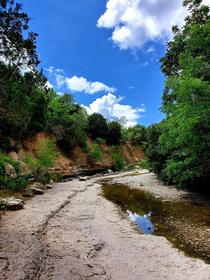 Walnut Creek Metropolitan Park in Austin TX 