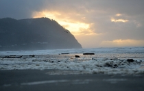 Was going thru my old photos and found this from  years ago The Tide at Seaside Beach Seaside Oregon 