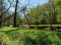 Was out on a photoshoot in Chicagoland area Illinois beautiful Creek 