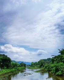 Water with a flowunder the sky  beauty of AssamIndia 