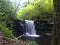 Waterfall at Ricketts Glen State Park Pennsylvania USA 