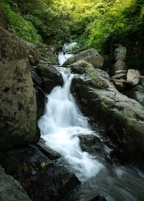 Waterfall in Arlington Virginia  OC IG griffinbarnett