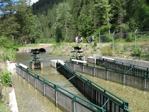 Waterworks in Montana 