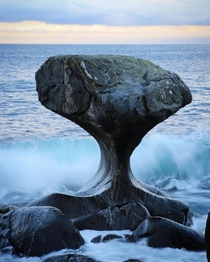 Waves have shaped this rock in Norway x 
