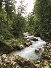 We took a beautiful hike through the Vintgar Gorge near Lake Bled Slovenia 