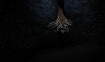 Went caving in the Mole Creek Caves Tasmania Saw some Glowworms 
