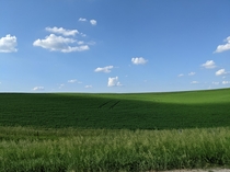 Went for a drive the other day and found Windows XP - Montfort Wisconsin 
