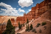 Went for a walk amongst the Hoodoos Bryce Canyon UT  by kevinapereira