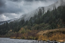 Western shore of the Rogue River Oregon 