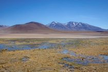 Wetlands in the Atacama Desert 