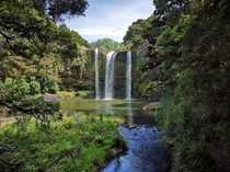 Whangarei Falls New Zealand 