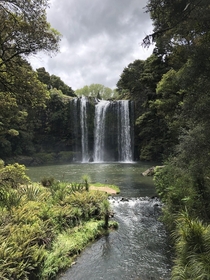 Whangarei Falls NZ 