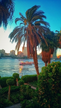 What a view by the nile 