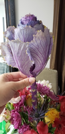 What is the name of this flower