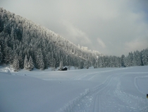 Where I use to go sledding Solalex Switzerland 