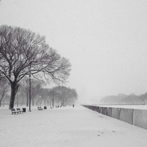 White Out by the White House Washington DC By Arpi 