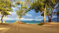 White Sand Meets the Pacific Bellows Beach Oahu Hawaii