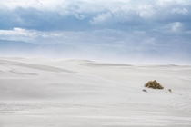 White Sands National Monument NM USA  IGftvulpes