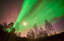 Who said that you cant see northern lights during full moon Northern Sweden